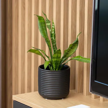 Plac Unii By Renters Apartmán Gdyně